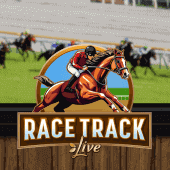 Race Track game cover